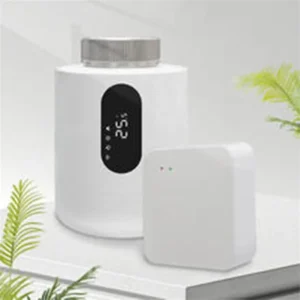 Zigbee Smart Gateway Hub for Smart Life